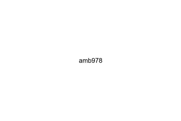 amb978