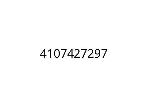 4107427297