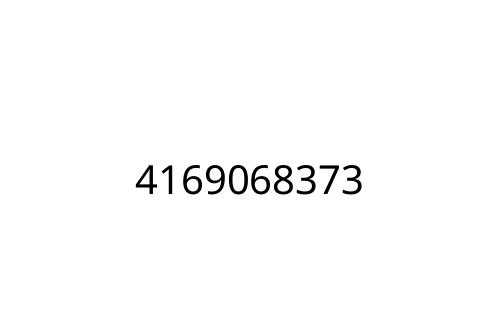 4169068373