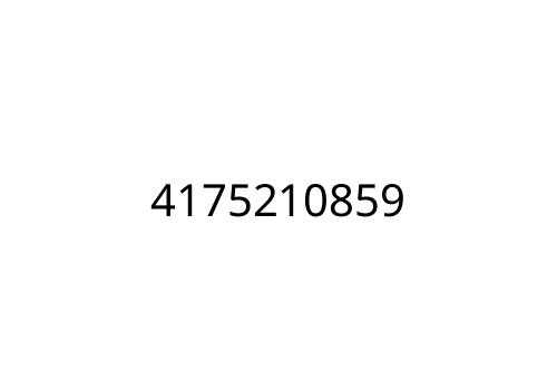 4175210859