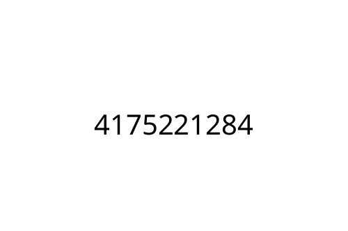4175221284
