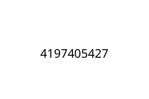 4197405427