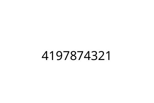 4197874321