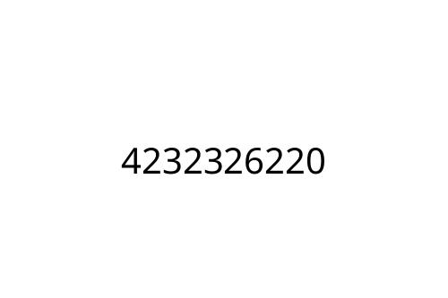 4232326220