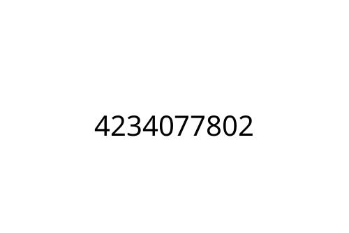 4234077802