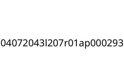 04072043l207r01ap000293