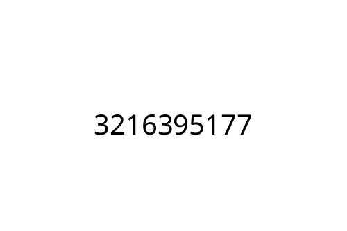 3216395177