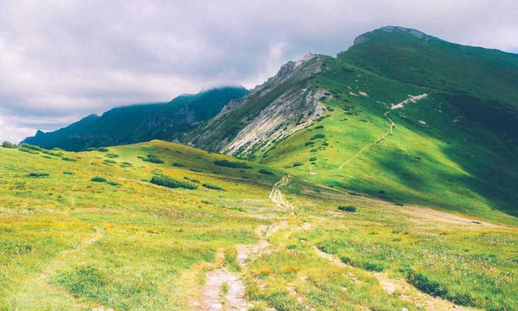 advantages of meetshaxs software