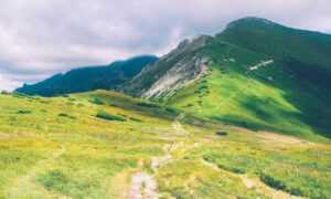 advantages of meetshaxs software