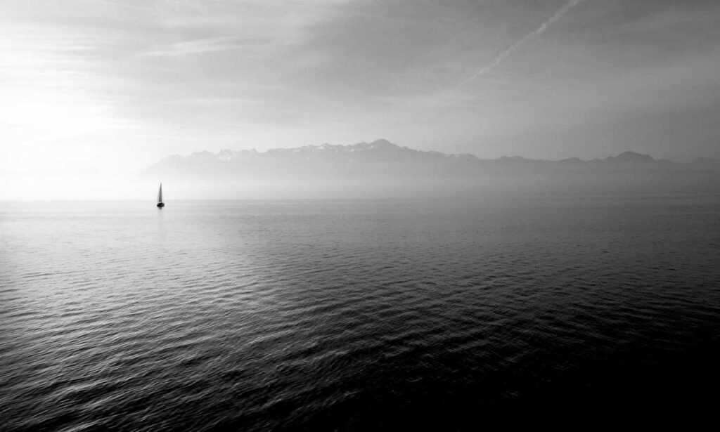 how to implement new software calpper4.8l in a company