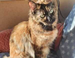 how zillexit software can be stored safely