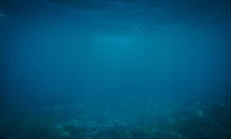 improve software meetshaxs