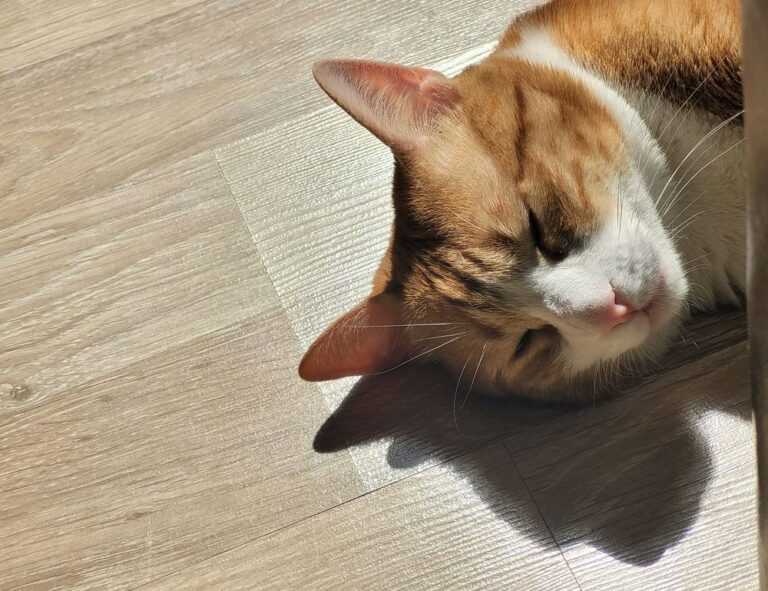 is endbugflow software a software for writing books