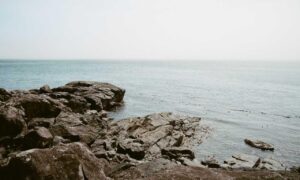 is kayudapu rich in iron