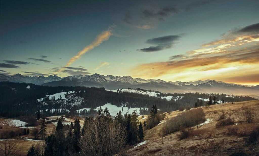 is mopfell78 the best graphics in a pc game