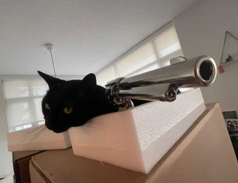 software dowsstrike2045 python update