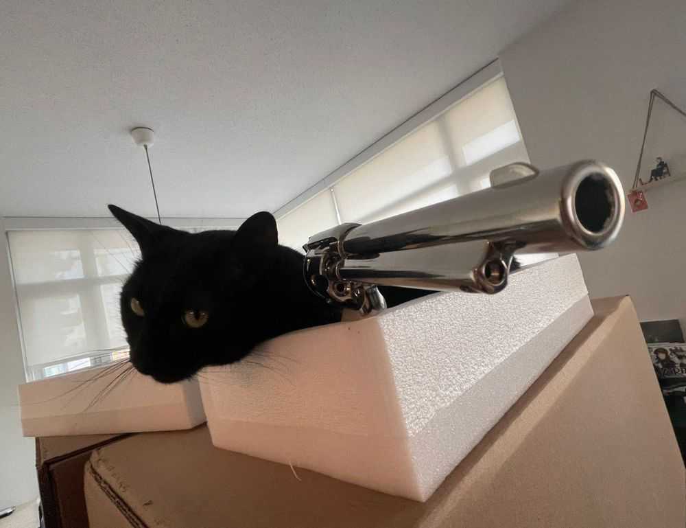 software dowsstrike2045 python update