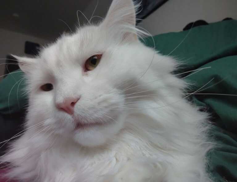 teckaya construction equipment ltd management