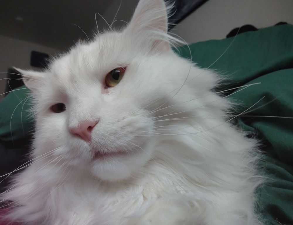 teckaya construction equipment ltd management