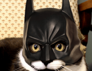 update winobit3.4 python