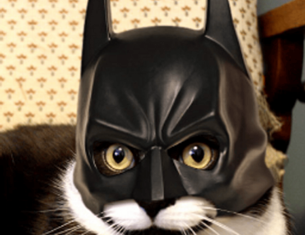 update winobit3.4 python