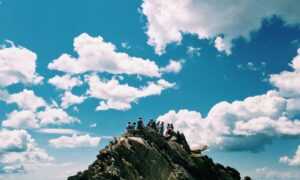 weird animals in the safukip sea