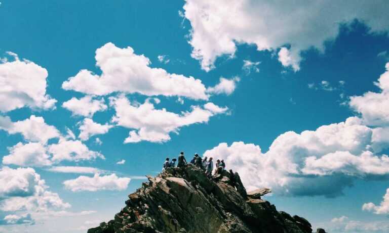 weird animals in the safukip sea