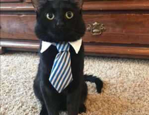 when doorsun1524 released