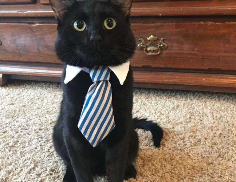 when doorsun1524 released