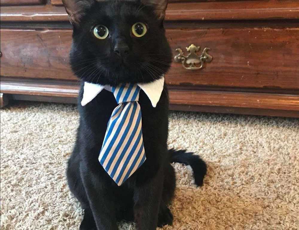 when doorsun1524 released