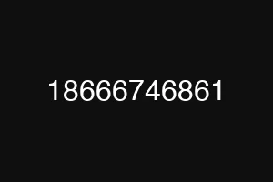 18666746861