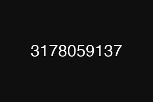 3178059137