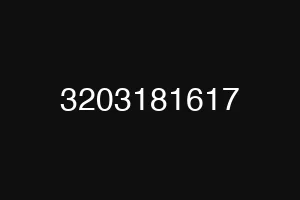 3203181617