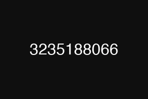 3235188066