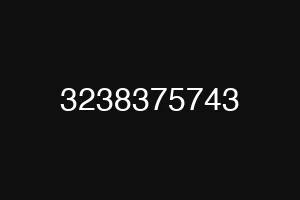 3238375743