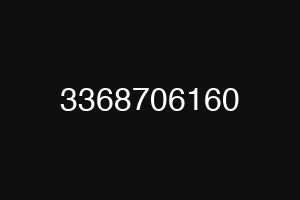 3368706160