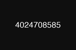 4024708585