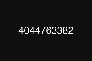 4044763382