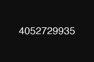 4052729935