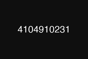 4104910231