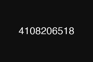4108206518
