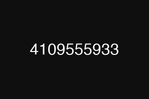 4109555933