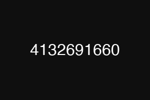 4132691660