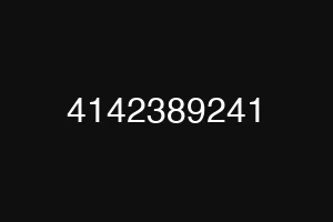 4142389241