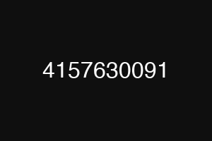4157630091