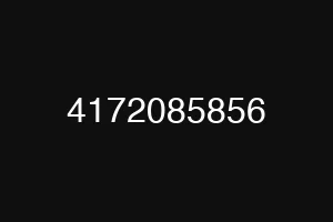 4172085856