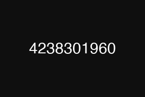 4238301960