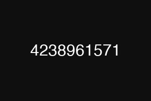 4238961571