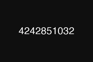 4242851032