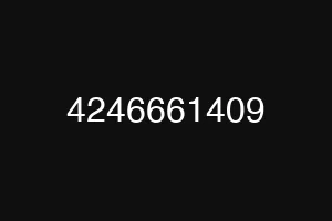 4246661409
